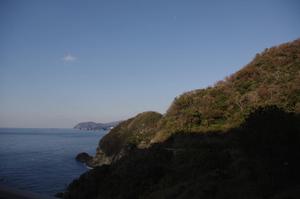 広尾蘭