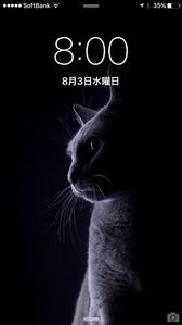 Max The Cat