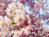 hayami_so