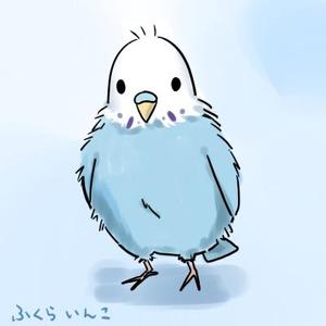 瀬木