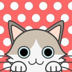 sakippo