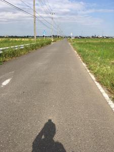 ぴょんきっく