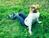 Violetta_xxxx