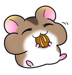 ちまお