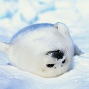 ssksubs_77