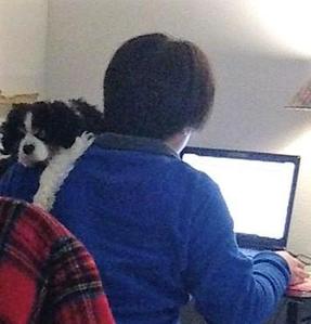 FalseCoder