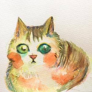 しまこ